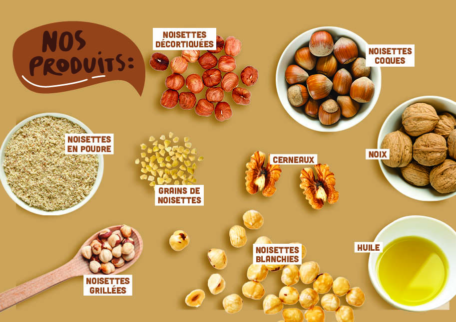 Noisette Fruits à Coque, variétés, production, saisonnalité